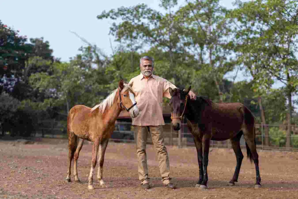 Pune : Bhimthadi Horse gets status of an Independent Breed
