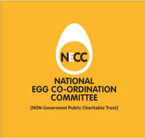 Pune to host 22nd edition of NECC Deccan ITF 50K Women's Tennis Tournament from January 20