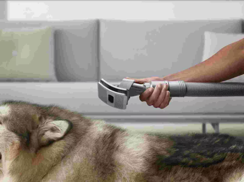 Dyson Global Dust Study 2023: Only 1 in 4 pet owners prioritise cleaning their homes every day