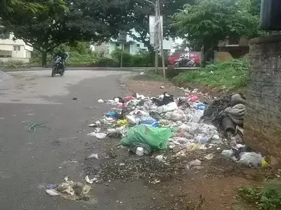 garbage dumping