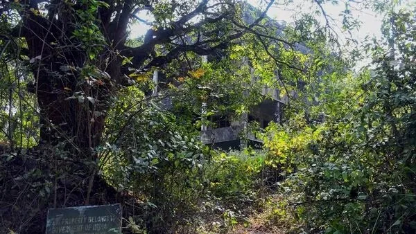 Delhi lawyer acquires Dawood's ancestral property ; pays 1300 times reserve price