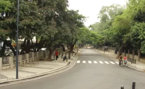 Bengaluru : BBMP seeks 'CSR funds' for 12 'world-class' roads