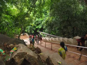 Tirupati : Enhanced safety measures to be ensured for devotees on Tirumala trek pathway