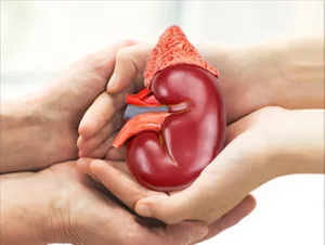 Rare interfaith kidney swap seen in Mumbai