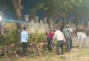 Pune Residents Hold Signature Drive to Protest PMC's Proposal For Tree Removal in Koregaon Park