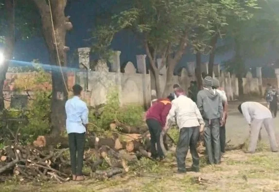 Pune Residents Hold Signature Drive to Protest PMC's Proposal For Tree Removal in Koregaon Park