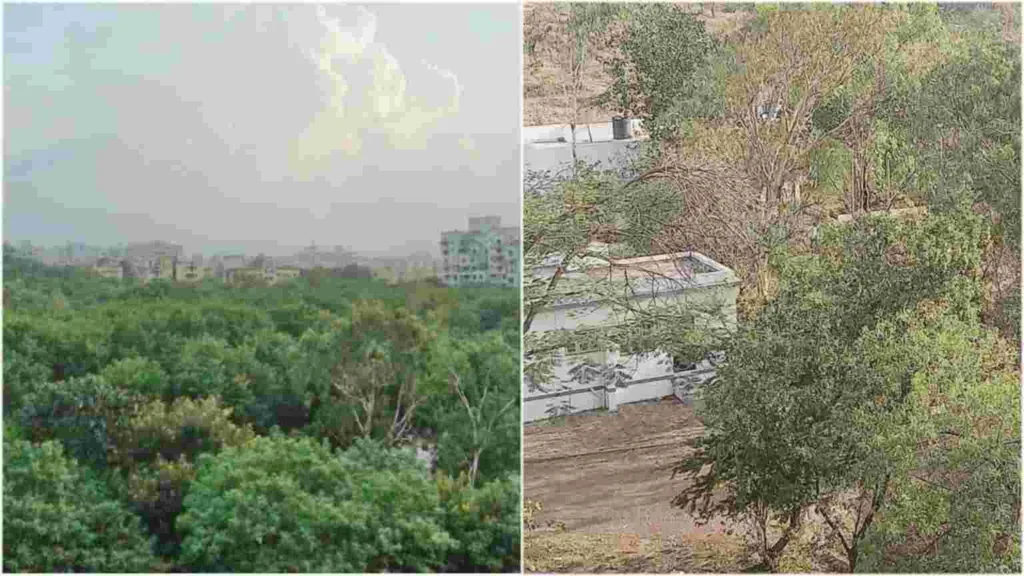 Indian native trees to be planted at eco park site in Wanowrie: claims Pune Forest Dept