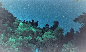 Starry Nights : Pench Tiger Reserve in Maharashtra becomes India's first Dark Sky Park