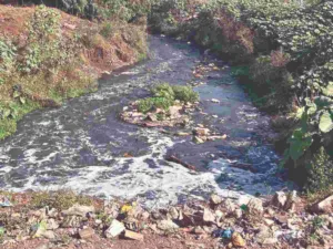 Pune : Eco-activists plan to do pooja at Ram Zhara to highlight it’s pollution