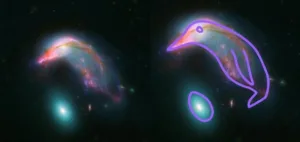 NASA: Cosmic Delight: Penguins and Eggs in Space