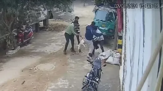 Toddler Suffers Multiple Fractures in Alleged Pit Bull Attack; Family Seeks Action