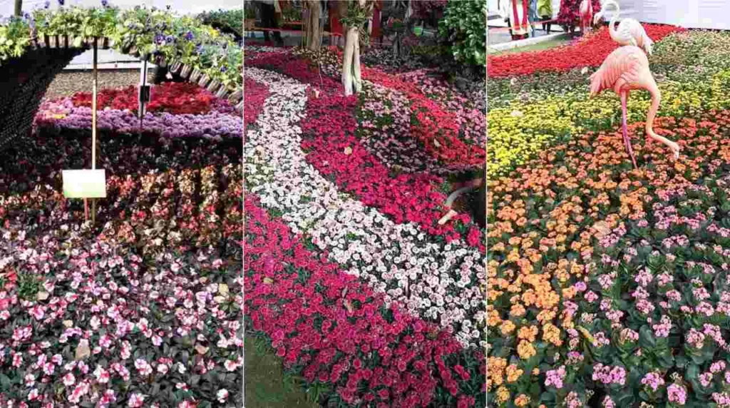 Pune : Empress Garden Flower Show - Buds N Blooms 2024 Exhibition Extends its Floral Splendor until June