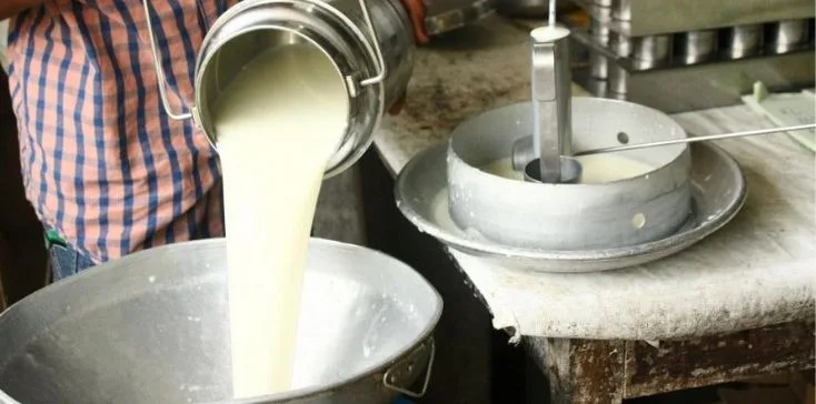 Maha govt announces Rs 5/liter subsidy for milk producers