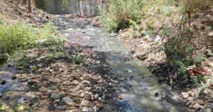 NGT asks Pune Zilla Parishad, Bhugaon, and Bhukum Gram Panchayat to file affidavits over sewage discharge in Ramnadi
