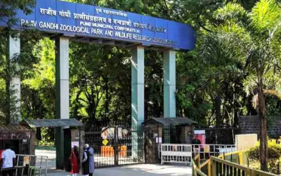 Pune’s Rajiv Gandhi Zoological Park Battles Heatwave with Cooling Systems & Diet Changes