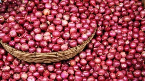 Maharashtra : Farmers Suffering as Onion Prices Plummet; Calls for E-Auction to Save Them