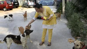 Pune dog feeders