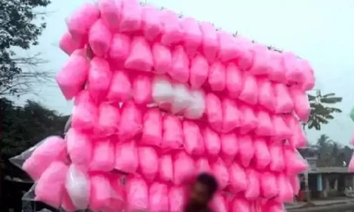 Tamil Nadu bans Cotton Candy as life threatening properties found