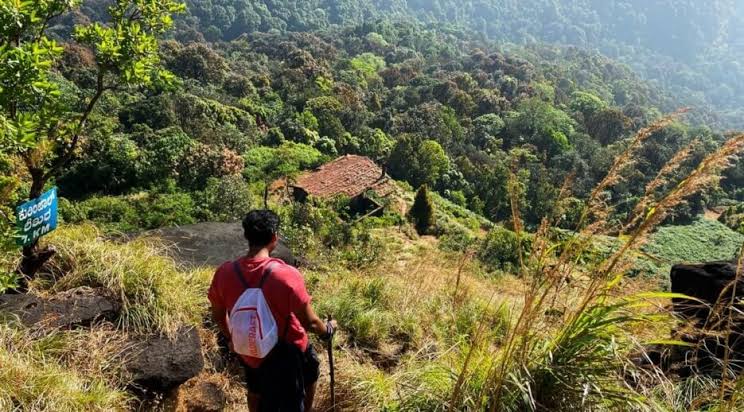 Karnataka temporarily bans forest trekking following ecological concerns
