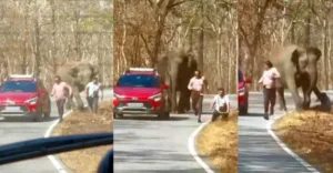Terrifying Encounter: Wild Elephant Charges at Men Taking Photos in Wayanad