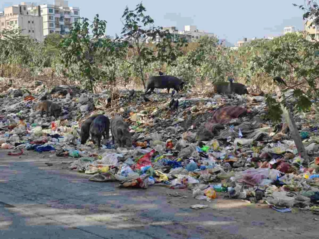 Pune : Residents of Balewadi High Street irked over garbage dumping issues, seek attention from PMC