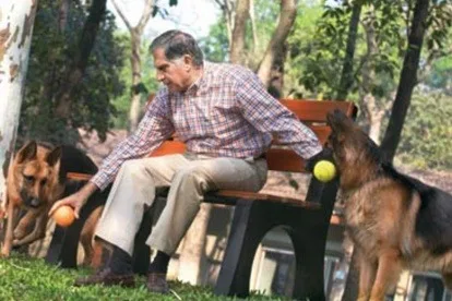 Ratan Tata's upcoming 24X7 animal hospital set to open soon. When and where?