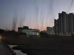 Night time humidity, temp changes some key factors for mosquito tornado in Pune: Experts