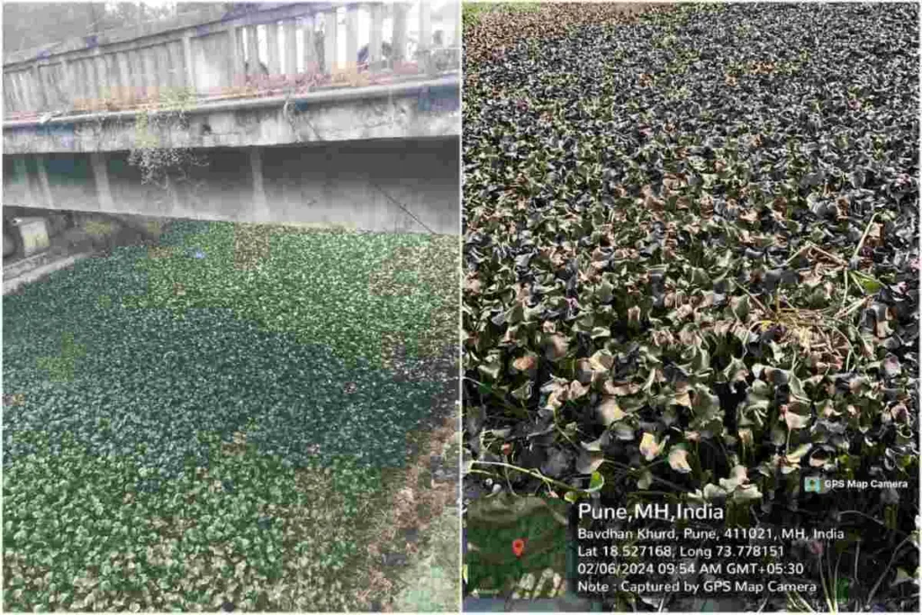 Pune Municipal Corporation's Bio Enzyme Experiment Targets Water Flow Reduction and Mosquito Control