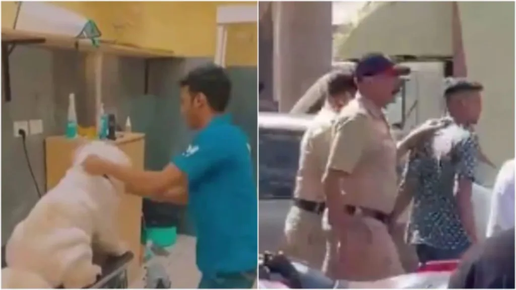 Shocking: Dog beaten up by staff at veterinary clinic in Thane; staff arrested