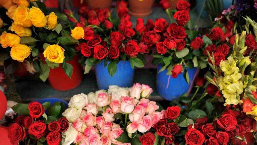 Surge in prices of rose in Pune amidst Valentine’s Day celebrations