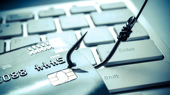 Pune Real Estate Developer Falls Victim to Rs 4 Crore Whale Phishing Scam - Biggest Cybercrime as per Pune Police