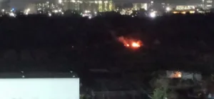 Punawale Kate Wadi Residents Concerned Over Increasing Forest Fire Incidents, Seek Help From Forest Dept