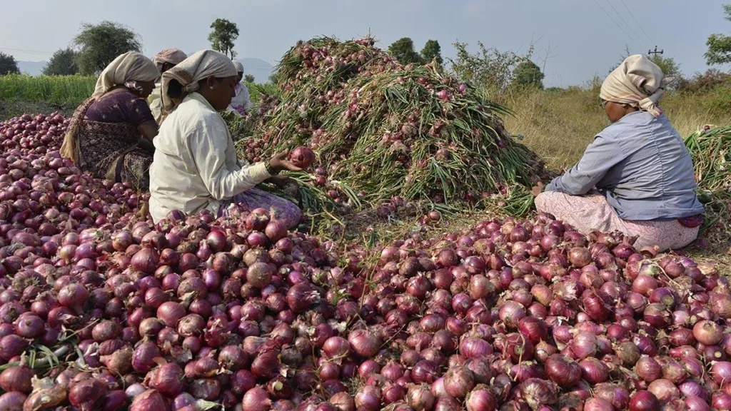 Onion Farmers Join Delhi Strike, Demand Export To Restart