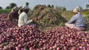 Onion Farmers Join Delhi Strike, Demand Export To Restart