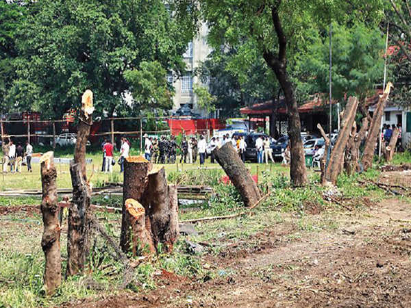 Pune citizens rally against felling of 1,00,000 trees