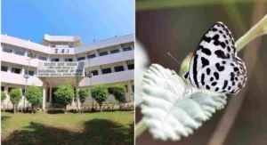 Zoological Survey of India Commences Documentation of 30,000 Fauna in Western Ghats; Proposes Wildlife Forensic Laboratory in Pune