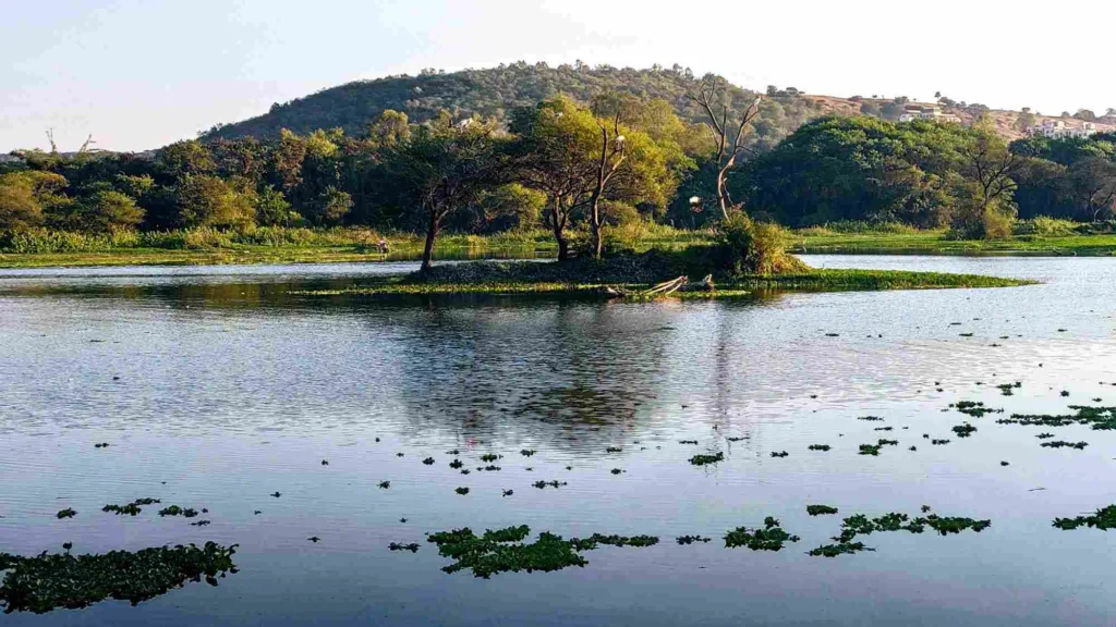 pashan lake-low rez