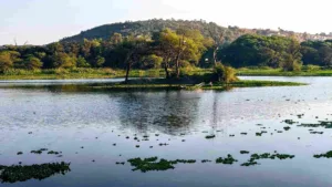 pashan lake-low rez