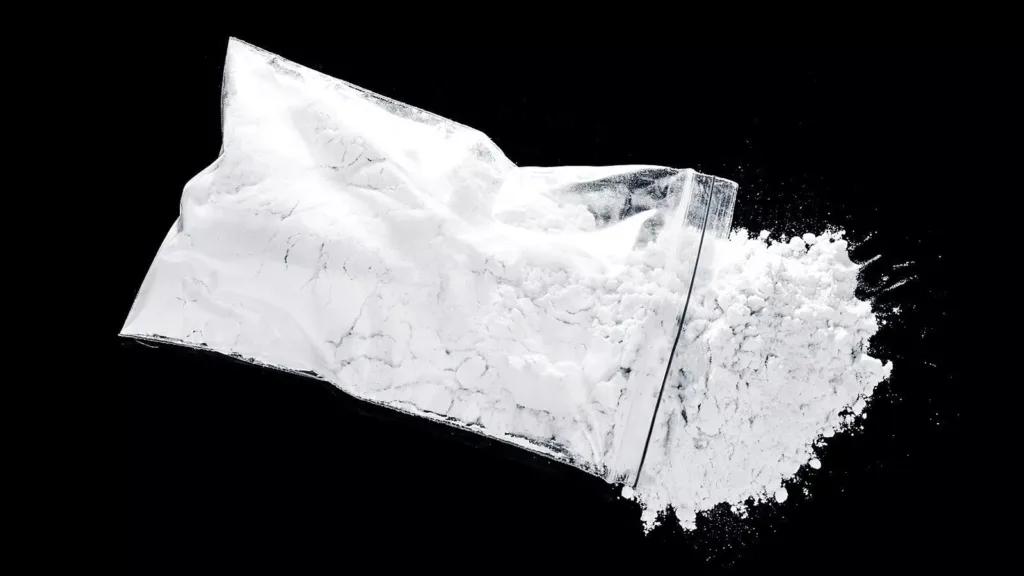 Pune News: Two Arrested For Selling Mephedrone In Bibwewadi, Drugs Worth Rs 2 Lakh Seized