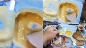Passenger Finds Fungus in Yoghurt on Vande Bharat Express