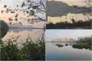 Navi Mumbai Municipal Corporation faces criticism for de-reserving plots on water bodies, raising concerns among environmentalists