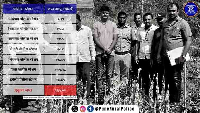 Pune : 365 kg opium grown illegally seized by Pune Rural Police from Feb to March 12 