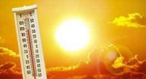 Pune: Koregaon Park Sizzles At 43.2 Degrees Celsius Today