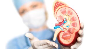 Over 1627 patients waiting for kidney donation in Pune