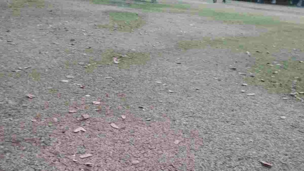 Pune : Dried up lawns of Kalyani Nagar Park irks residents; request urgent solution