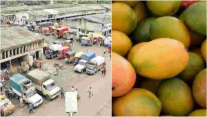 Vendors selling 'fake' Konkan Alphonso mangoes face stiff penalties from the APMC