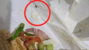 Cockroach Found in Zomato Customer's Sandwich Parcel, Sparks Hygiene Concerns