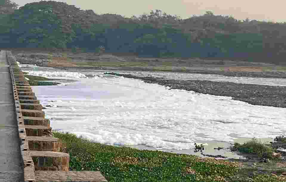 Pune : Mutha river at Kavadipat in filthy state; Garbage, water hyacinth on one side, foam on other 