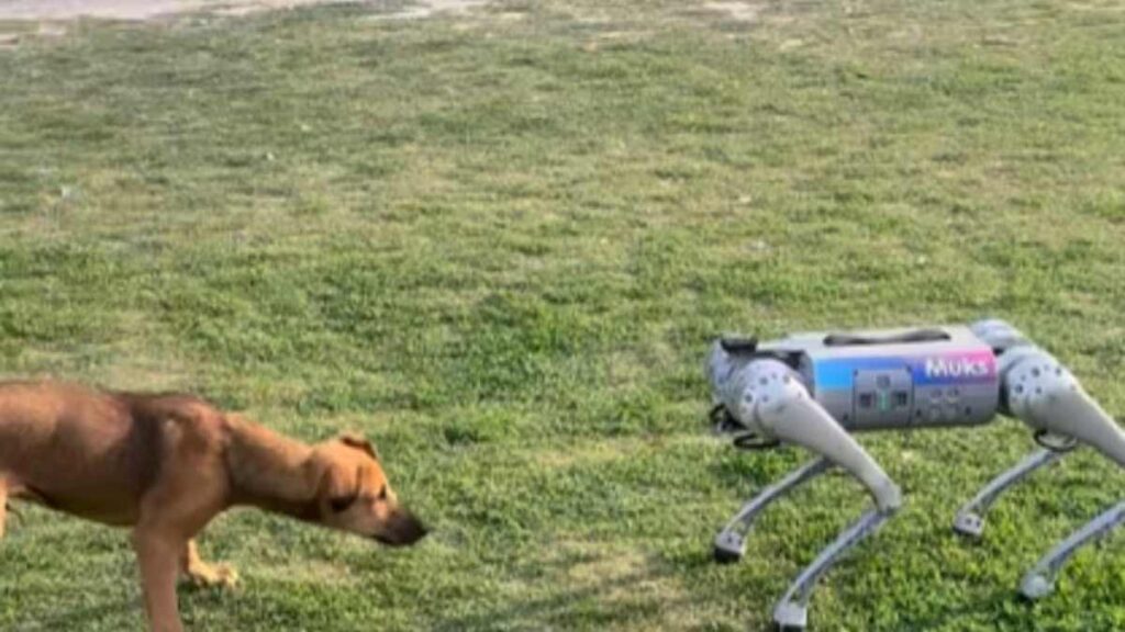 Dogs Meet Robot : A Surprising Encounter at IIT Kanpur's Tech Fest