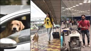 Thousands of Pets Travel by Train from Pune Station: Step by Step Guide On How Your Pets Can Travel Through the Railway !